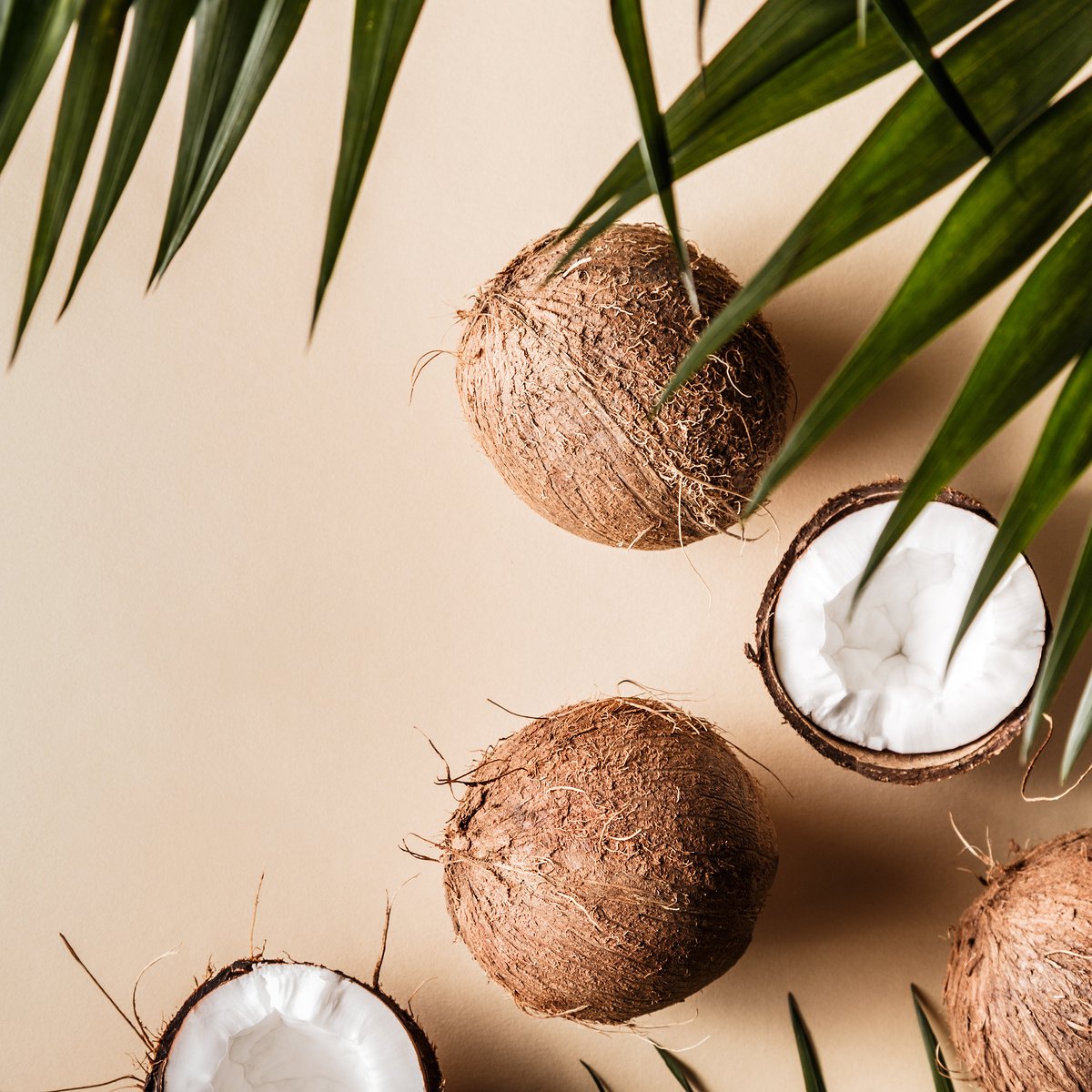 Coconuts on a pastel background